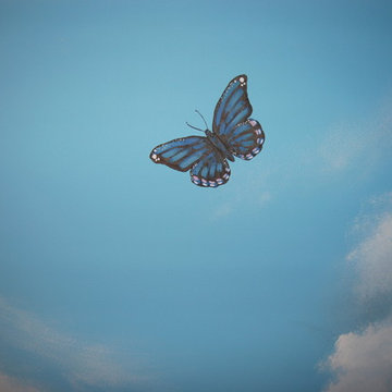 Sky Ceiling Mural with Butterflies, hand-painted in a bedroom by Mural Art LLC.