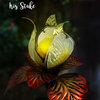 Solar Lighted Glass Yellow Iris Garden Stake