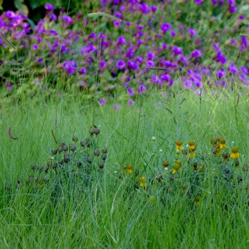 Valley backyard