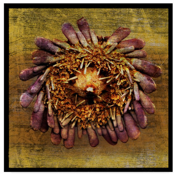 John W. Golden 'Sea Urchin Gold' Canvas Art, 24"x24"