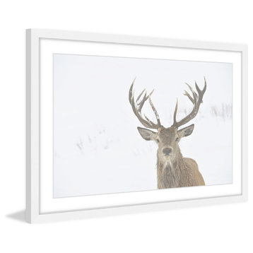 Marmont Hill, "Buck Stare" Framed Painting Print, 30x20