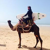 Alex Fortunato's photo