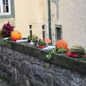 Foto von Anke Braach
