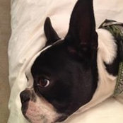 Hillarie Friedlander's photo