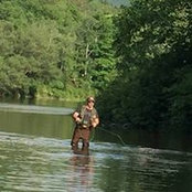 Dave Roberts's photo