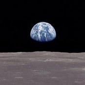 Cosmo Bucci's photo