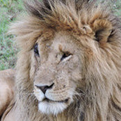 Suresh Chitturi's photo