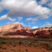 Natalie Jensen's photo