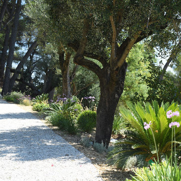 Vence