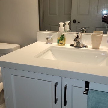 Oakville Condo Bathroom Reno