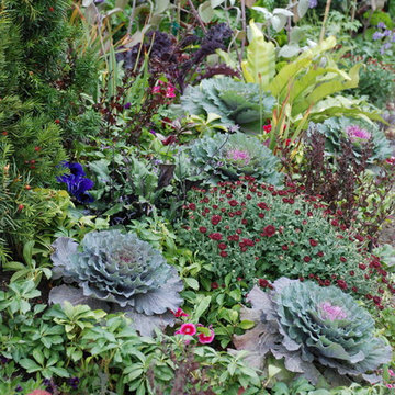 Annuals & Perennials
