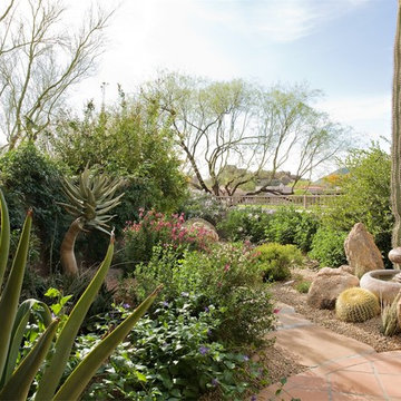 Colorful Desert - Phoenix Home&Garden