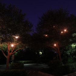 Firefly Lighting - Products