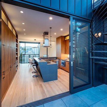 Linden Street Apartments, Stephen Phillips Architects (SPARCHS)
