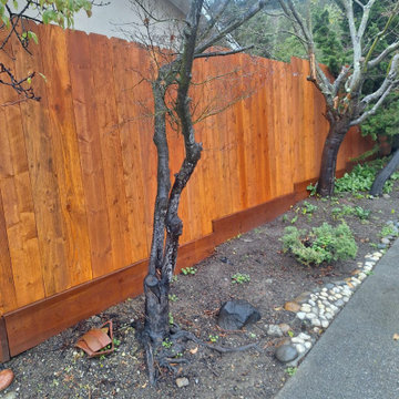 Custom Privacy Fence – Bay Area, CA