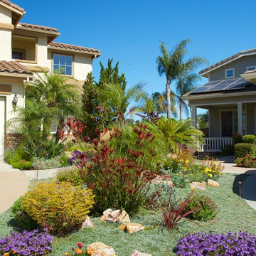 More Front Yard Gardens