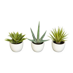 Green Southwest Collection - Indoor Pots And Planters