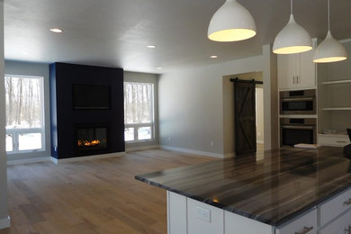 Inspiration for a transitional home design remodel in Other
