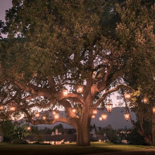 Outdoor LIghting