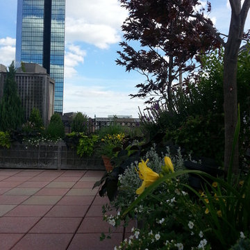 Newbury St. Rooftop Garden