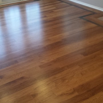 Special Project - Residential Danceroom