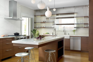 Kitchen - contemporary kitchen idea in St Louis