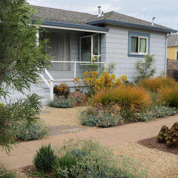 A Look into Our Gardens