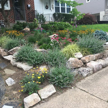Media Lawn Replacement