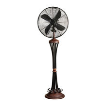 Fans
