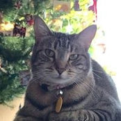Roni Gehlke's photo