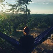 Allison Whaley's photo