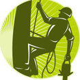 Mike Timbers Tree Removal Service's profile photo