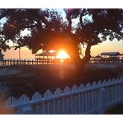 Suzanne Trice's photo