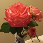 Roxanne Arnold's photo