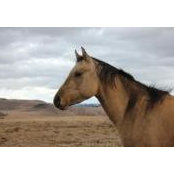 Kristi Spoon's photo