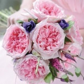 laurine lorine's photo