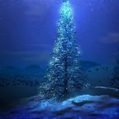Philippe Rorive's photo