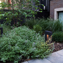 Landscape Designs -- Multi-unit investment properties