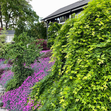 Front slope in spring.