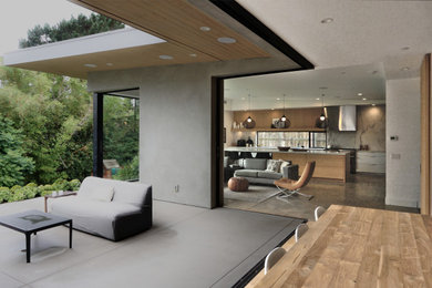 This is an example of a modern home design in San Diego.