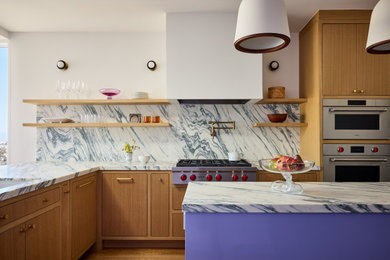 Inspiration for a transitional kitchen remodel in San Francisco