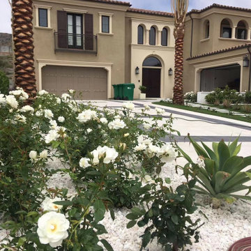 Curb Appeal