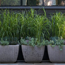 Landscape Ideas