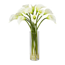 patricia_brandao's Ideas