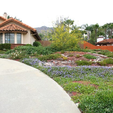 Rain Harvesting Landscape - Front Yard - Poway, CA