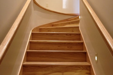 Staircase - contemporary staircase idea in Minneapolis