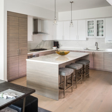 A Youthful Contemporary Condo in River Oaks