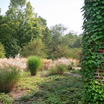 Vined brick and backside of stacked grasses, with taller Miscanthus islands