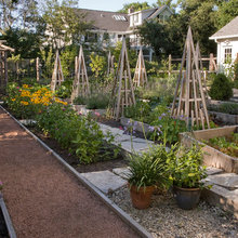 Garden Ideas