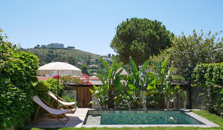 Avant/Après : Un jardin en pente abandonné s’évade à Bali